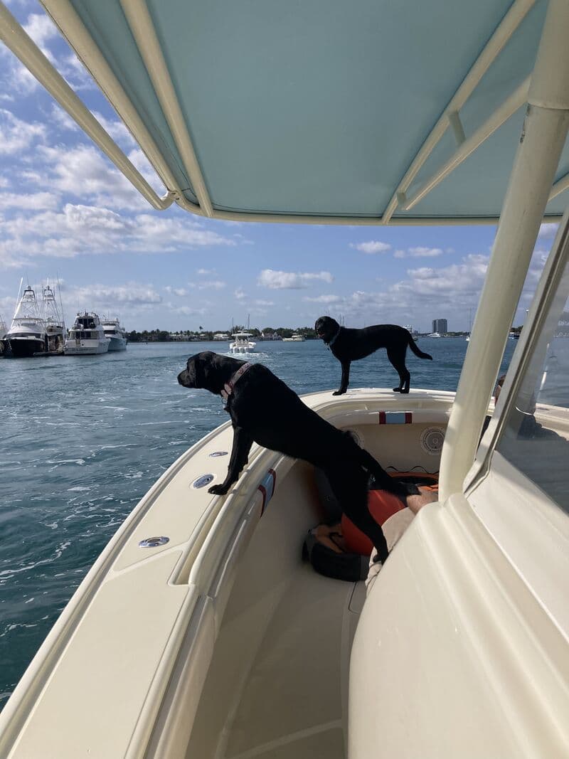 Delilah on the boat